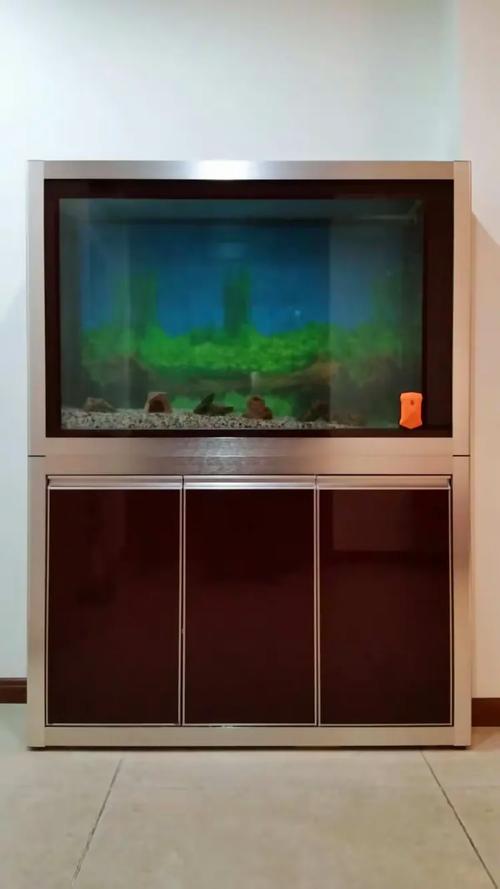 百晶坊專(zhuān)業(yè)水族定制工廠 匠心打造高端水族生態(tài)