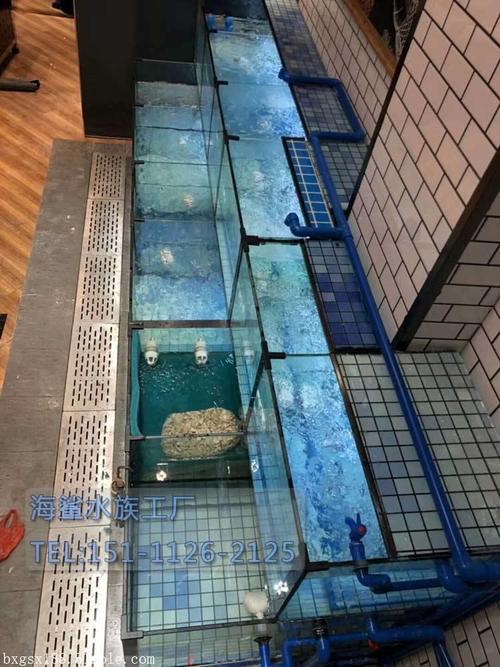 沅陵縣超市魚缸上門定做優(yōu)選海鯊水族工廠 專業(yè)定制生鮮店與海鮮魚缸的信賴之選
